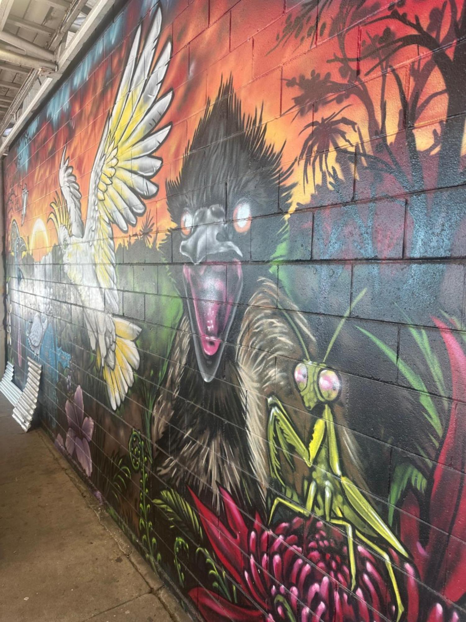 Habitat Backpackers Hostel Brisbane Kültér fotó